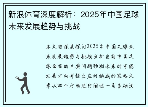 新浪体育深度解析：2025年中国足球未来发展趋势与挑战